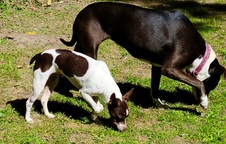 Enlarge photo 7