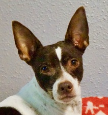 Coco