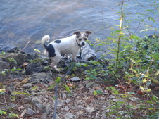 Enlarge photo 3