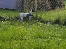 Enlarge photo 7