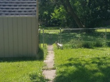 Enlarge photo 11