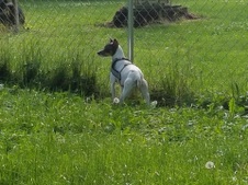 Enlarge photo 12