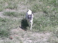 Enlarge photo 6