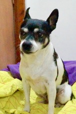 Enlarge photo 11
