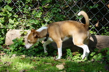 Enlarge photo 17