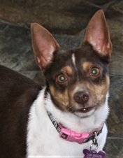 Snickers