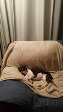 Enlarge photo 2