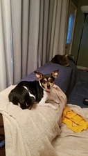 Enlarge photo 4