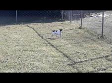 Enlarge MPEG4 10