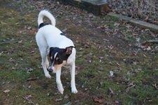 Enlarge photo 19