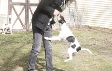 Enlarge photo 8