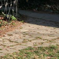 Enlarge MPEG4 5