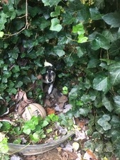 Enlarge photo 7
