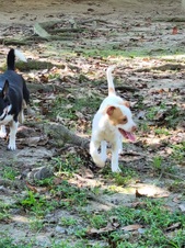 Enlarge photo 2