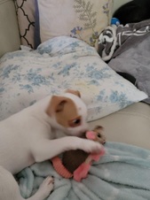 Enlarge photo 6
