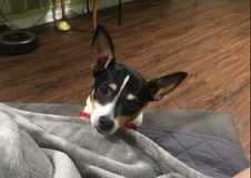 Mia