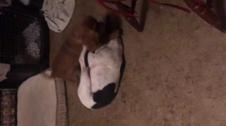 Enlarge MOV 6