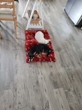 Enlarge photo 9