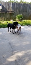 Enlarge photo 8