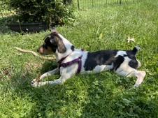 Enlarge photo 12