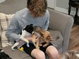 Enlarge photo 12