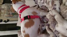 Enlarge MPEG4 4