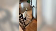 Enlarge MOV 5