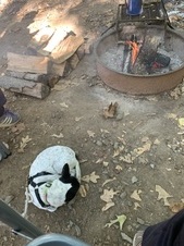 Enlarge photo 12