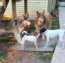 Enlarge photo 8