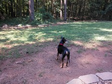 Enlarge photo 2