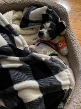 Enlarge photo 4