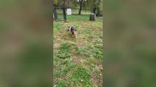 Enlarge MOV 15