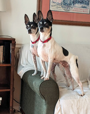 Brix and Marc