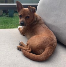 Copper