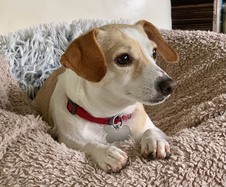 Elizabeth (AKA Betsy)