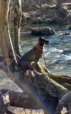 Enlarge photo 24
