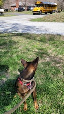 Enlarge photo 13