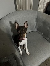 Jaxson