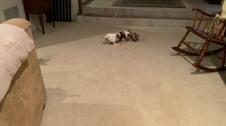 Enlarge MOV 4