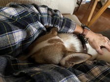 Enlarge photo 12