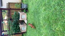 Enlarge MOV 16