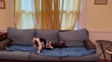 Enlarge MOV 22