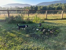 Enlarge photo 27
