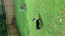 Enlarge MOV 18