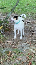 Enlarge photo 7