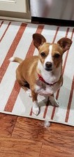 Abby