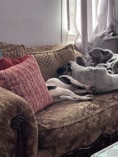 Enlarge photo 9