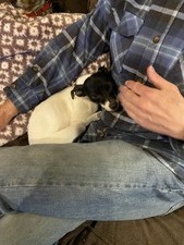 Billie Jean (Naples, Idaho)