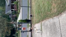 Enlarge MOV 17