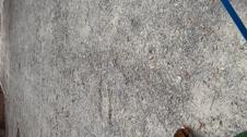 Enlarge MOV 7